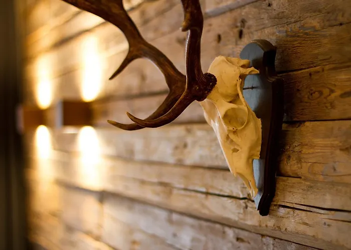 Hotel Nordseehotel Kroeger 4*